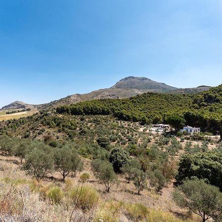Cortijo La Zahurdilla Yunquera Exteriör bild