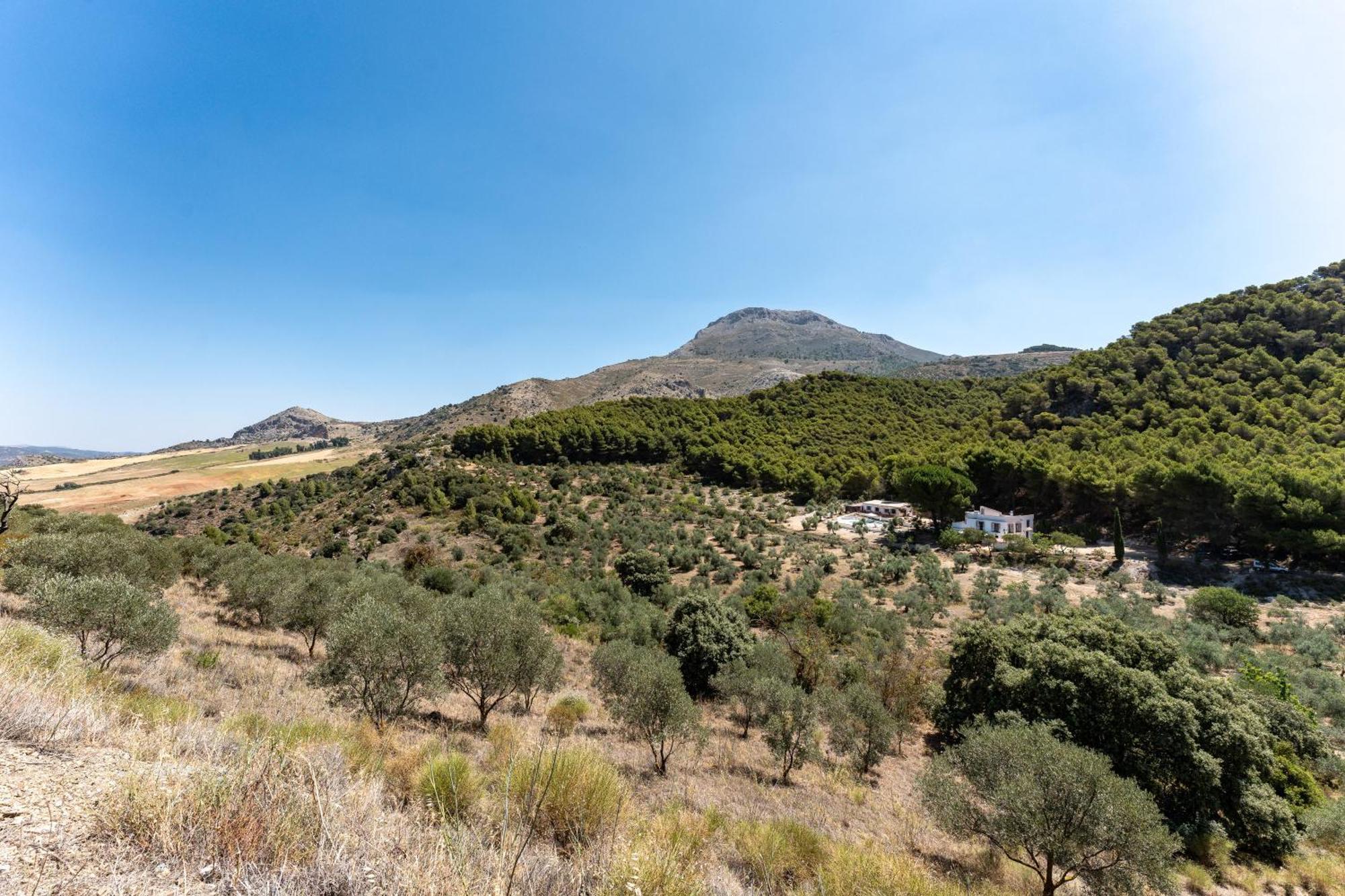 Cortijo La Zahurdilla Yunquera Exteriör bild